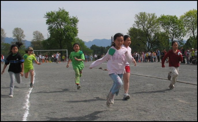 Field 011.jpg
